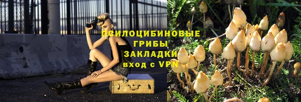 молекула духа Абинск