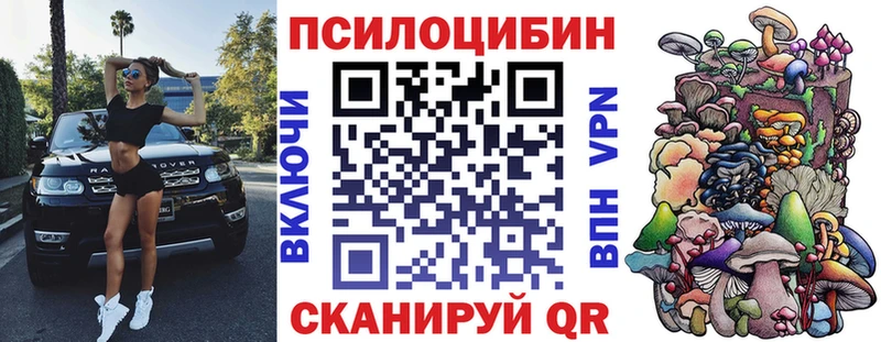 Галлюциногенные грибы GOLDEN TEACHER  где купить наркоту  Агрыз 